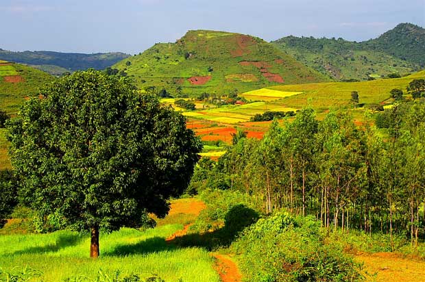 আৰাকু উপত্যকা