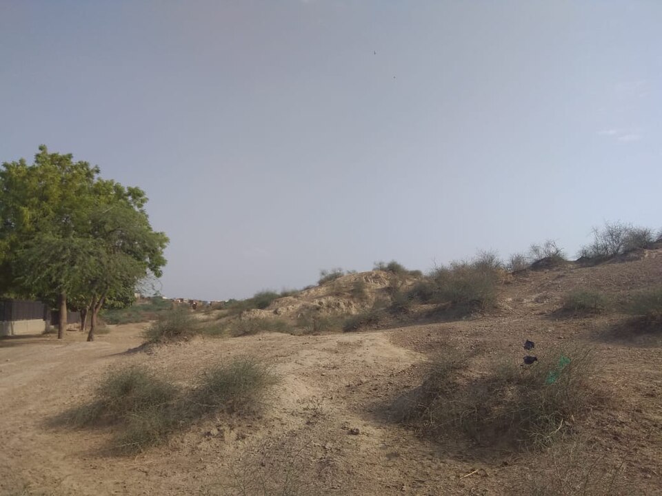 রাখিগড়ি